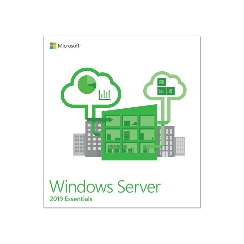 161109 Microsoft Windows Server Essentials 2019 PL x64 1-2CPU DVD G3S-01306 