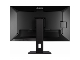 256184 Monitor IIYAMA ProLite/31,5" 4K IPS/16:9/60 Hz/HDMI/DP/USB HUB/RJ45/GŁOŚNIKI/3 lata carry-in