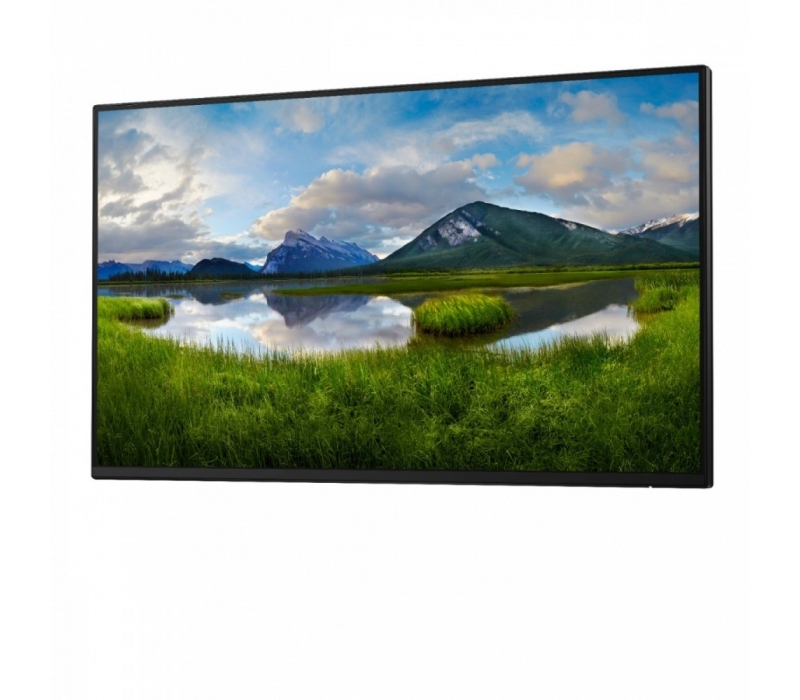 258038 Monitor 23.8" IPS Dell 210-BMJB 1920x1080  16:9 Srebrny