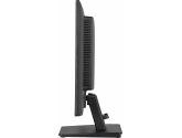 462510 Monitor IIYAMA ProLite/24" Full HD IPS/16:9/120 Hz/HDMI/DP/USB HUB/GŁOŚNIKI/3 lata carry-in