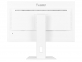 465018 Monitor IIYAMA ProLite/27" WQHD IPS/16:9/100 Hz/HDMI/DP/USB HUB/GŁOŚNIKI/PIVOT/5 lat carry-in