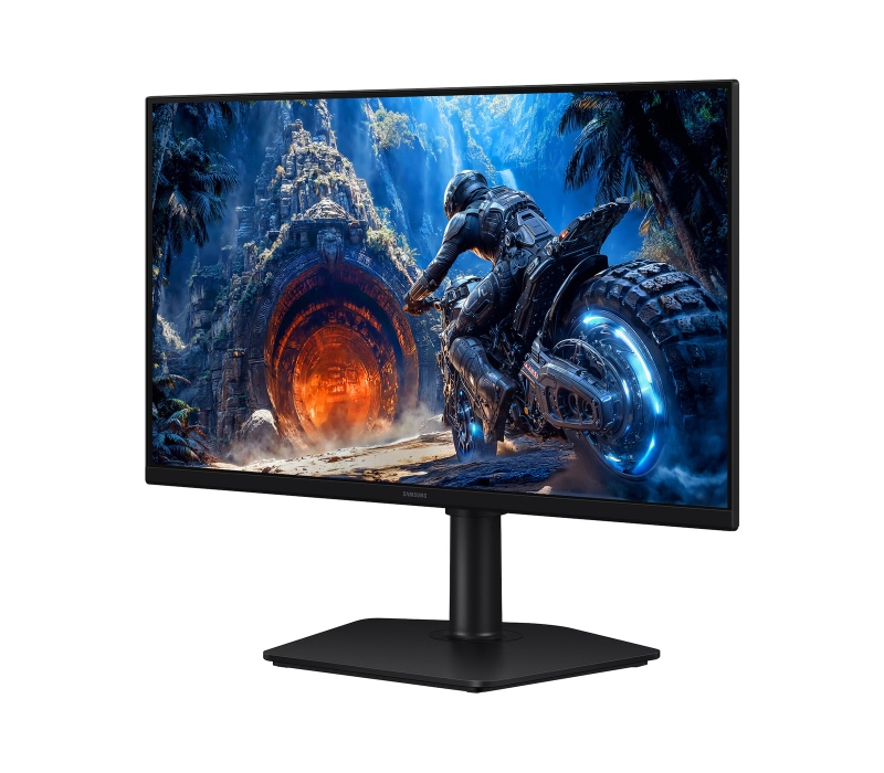 483017 Monitor Samsung Odyssey G4/25" Full HD IPS/16:9/300 Hz/HDMI/DP/AUDIO/PIVOT/2 lata carry-in